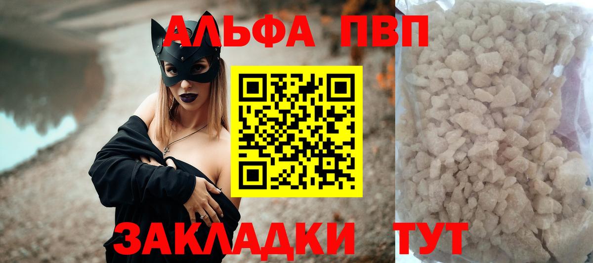 Alfa_PVP СК Горно-Алтайск